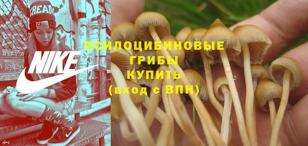 первитин Алзамай