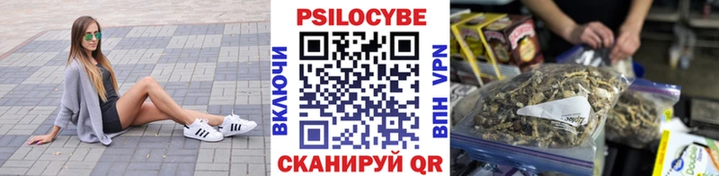 Псилоцибиновые грибы мицелий где купить наркоту Артёмовский